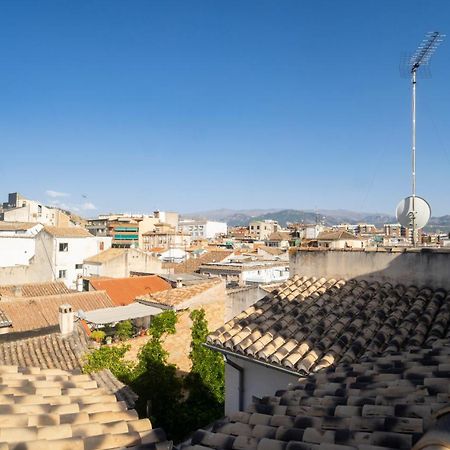 Atico Duplex Terraza Privada Centro Apartman Granada Kültér fotó